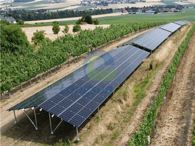 Landwirtschaftliche Solarhalterungen (Agrivoltaik-Montagesystem)