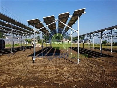 Solar-Landwirtschafts-Gewächshaus-Montagesystem