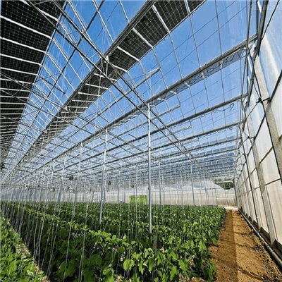 Bodenmontagestruktur für Solar-PV-Module